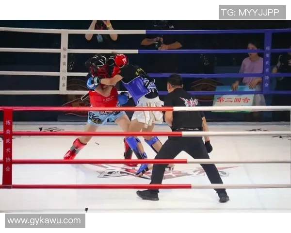 武林风中日对抗赛精彩回顾与未来展望，武术文化的碰撞与传承