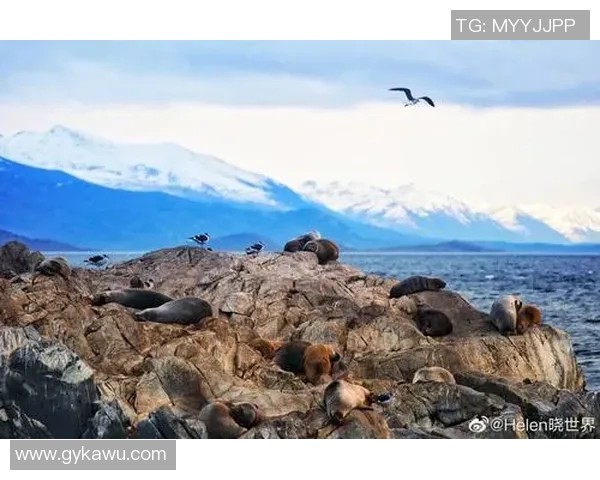 瓦尔德斯纳斯致胜维京群岛，荷兰遗憾负于智利