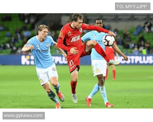 惠灵顿凤凰与墨尔本胜利比赛前瞻分析及胜负预测